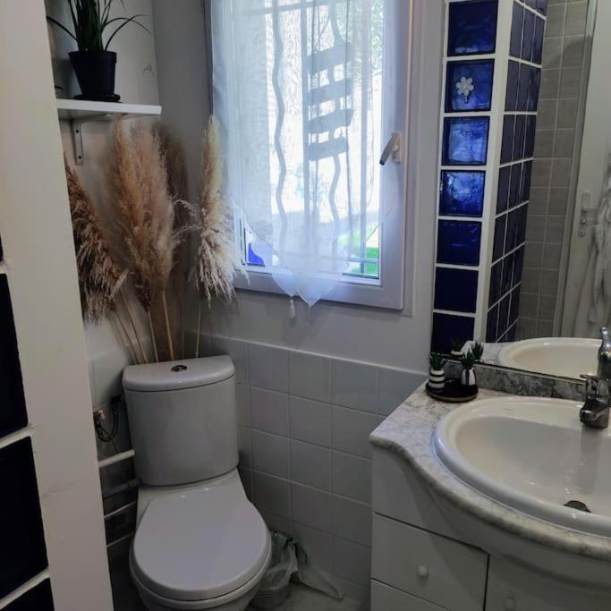 Studio Independant Dans Villa, Parking Gratuit. 卡斯泰尔诺勒莱 外观 照片